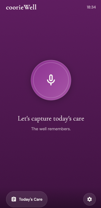 Voice-first care capture tool